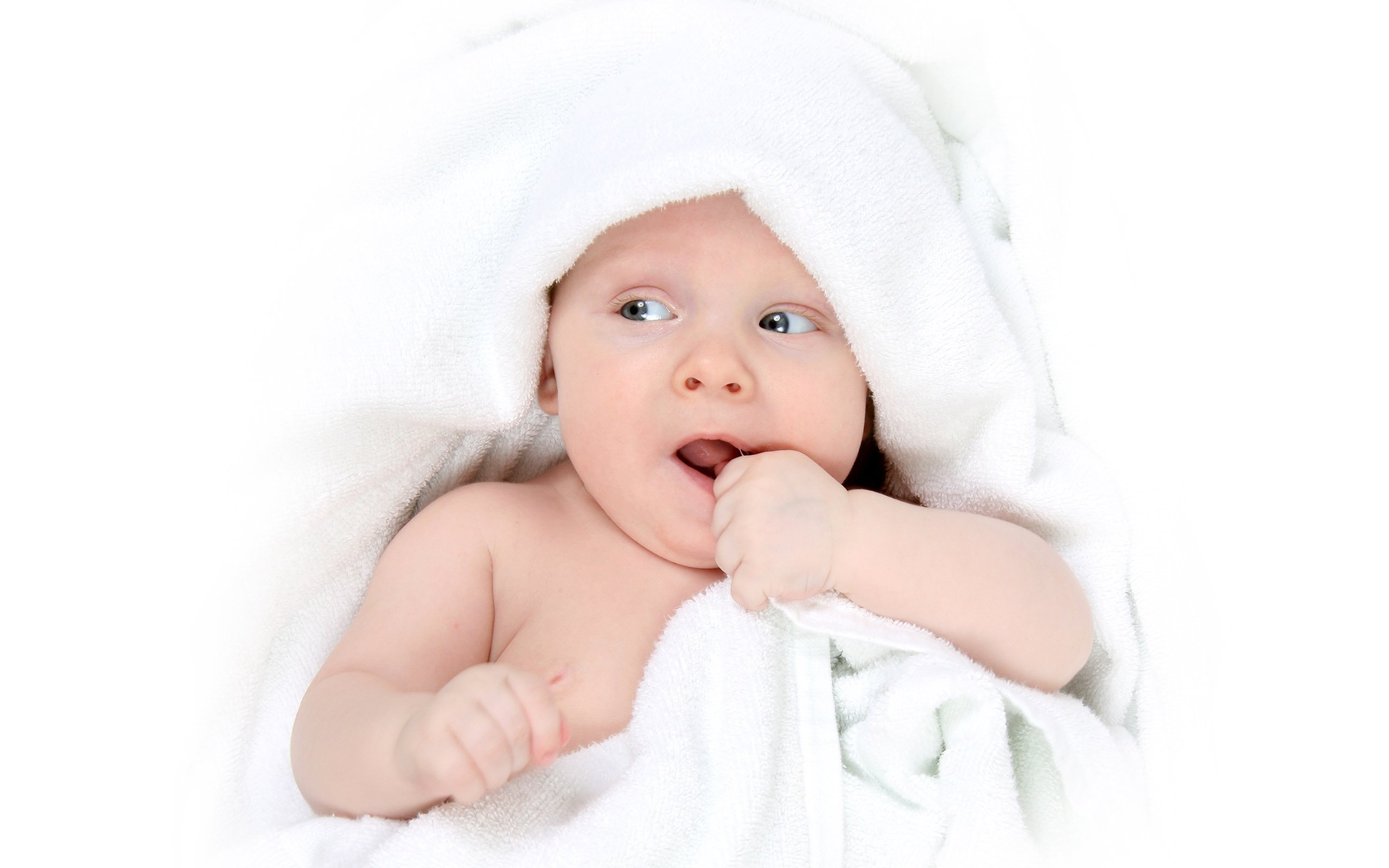 供卵医院试管婴儿囊胚成功率